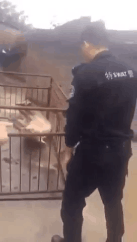 仁懷市防身用品那處的好